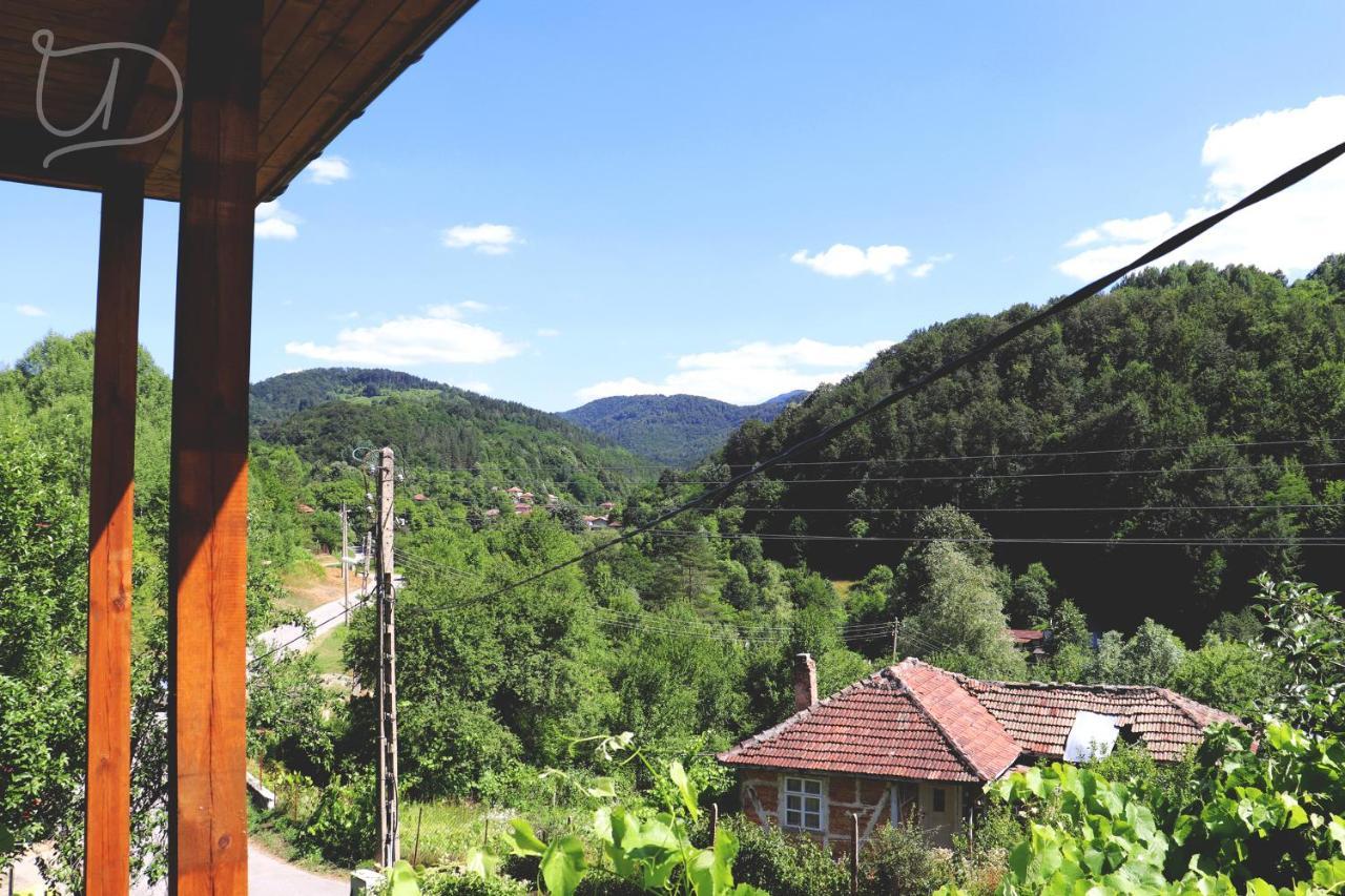 вила Ирена Radevtsi Екстер'єр фото
